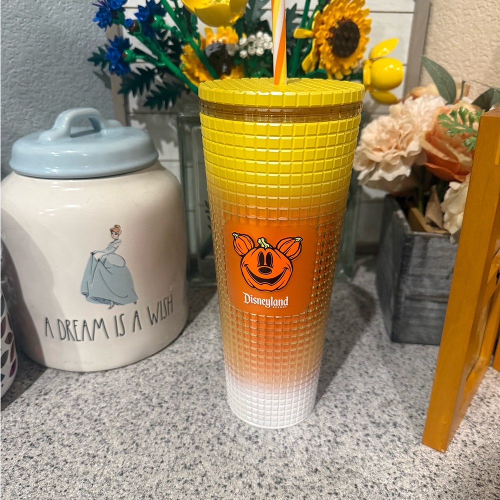 Disneyland Gradient Tumbler